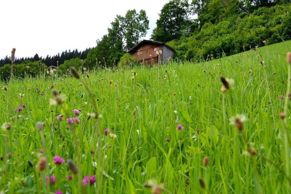 Chalets & Apartments Wachterhof Kaltenbach Dış mekan fotoğraf